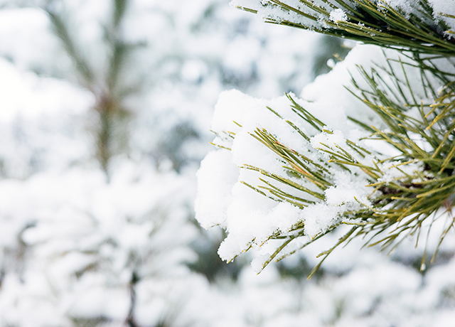 冬天、下雪、寒冷-康興醫(yī)療器械官網(wǎng)