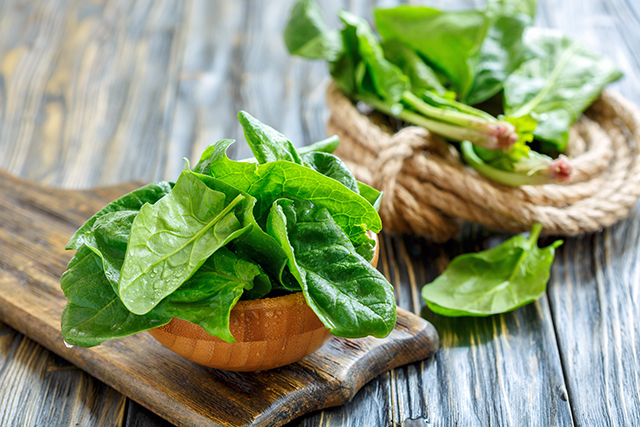 菠菜 蔬菜 飲食-康興醫(yī)療官網(wǎng) 菠菜 蔬菜 飲食-康興醫(yī)療官網(wǎng)