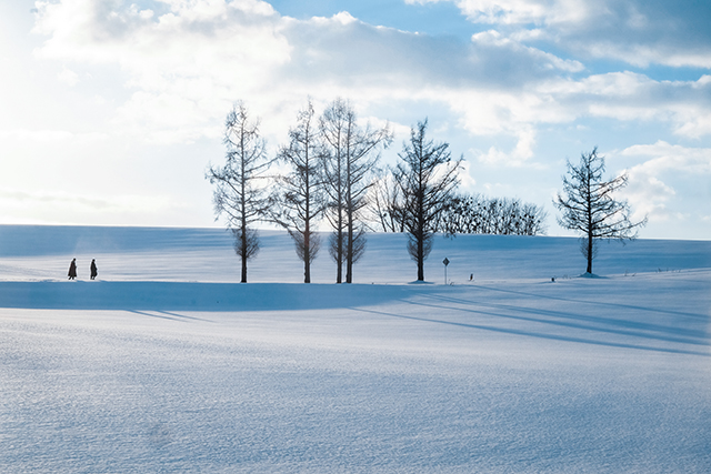 冬天 下雪 寒冷-康興醫(yī)療器械官網(wǎng)   